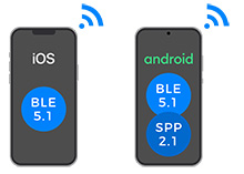 Dual Bluetooth BLE 5.1 SPP 2.1